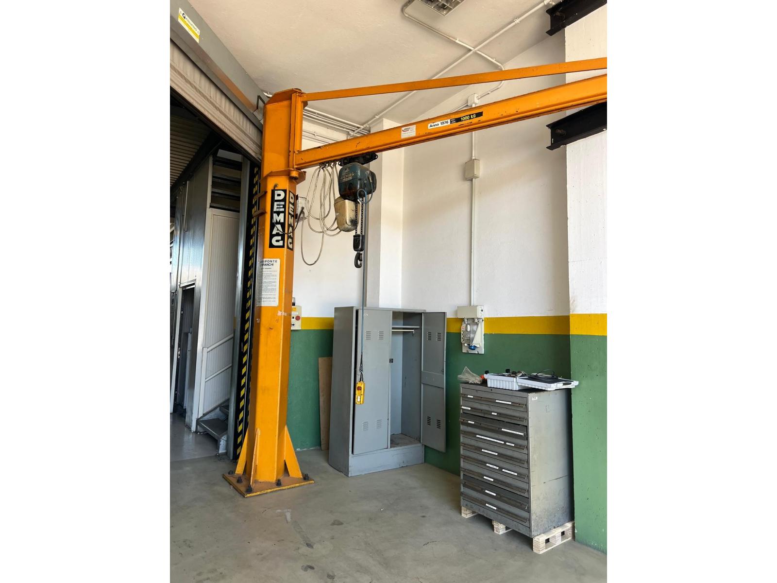 Gru a colonna demag 1000 Kg