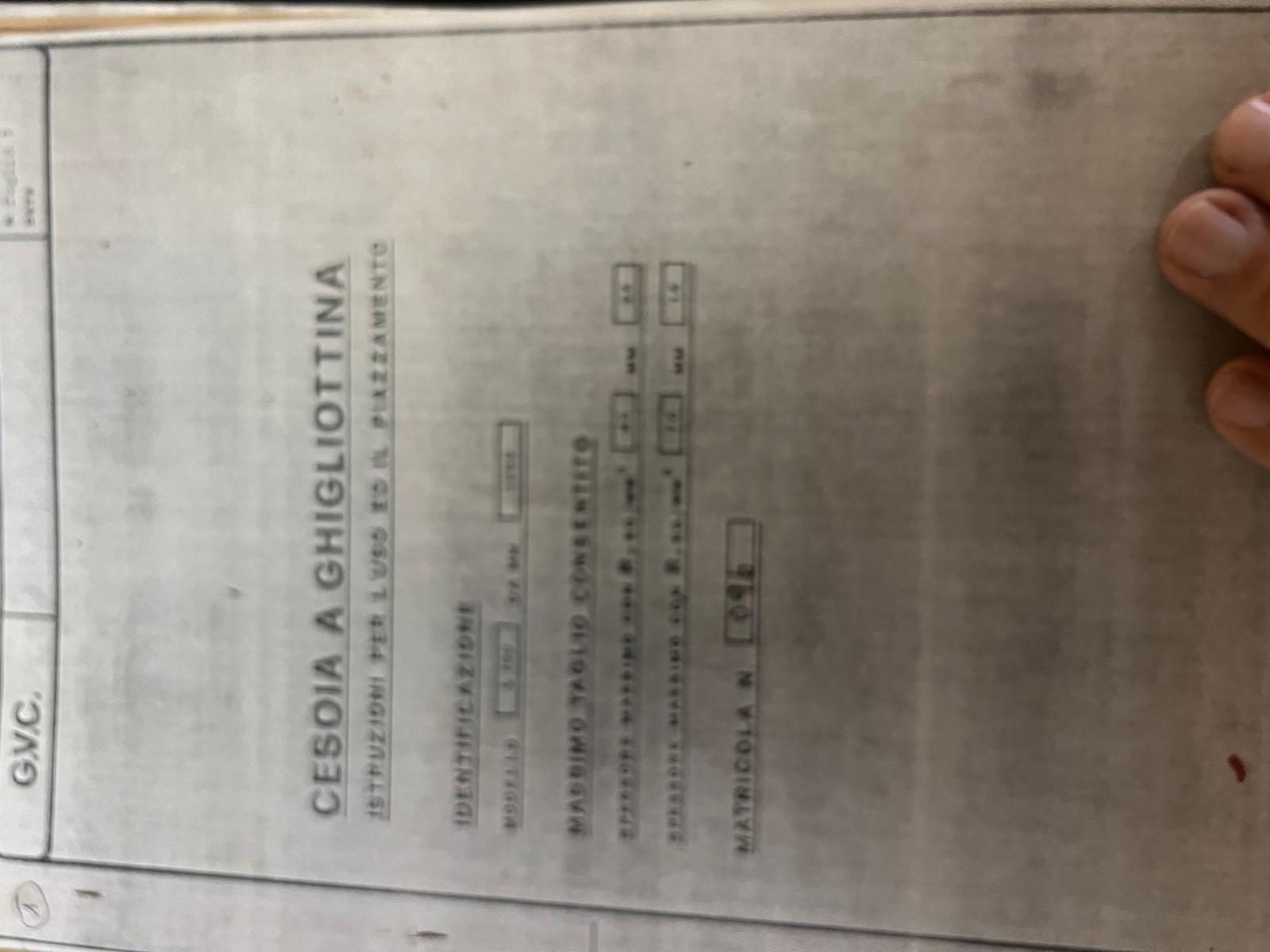 LINEA DI TAGLIO BELGIUS