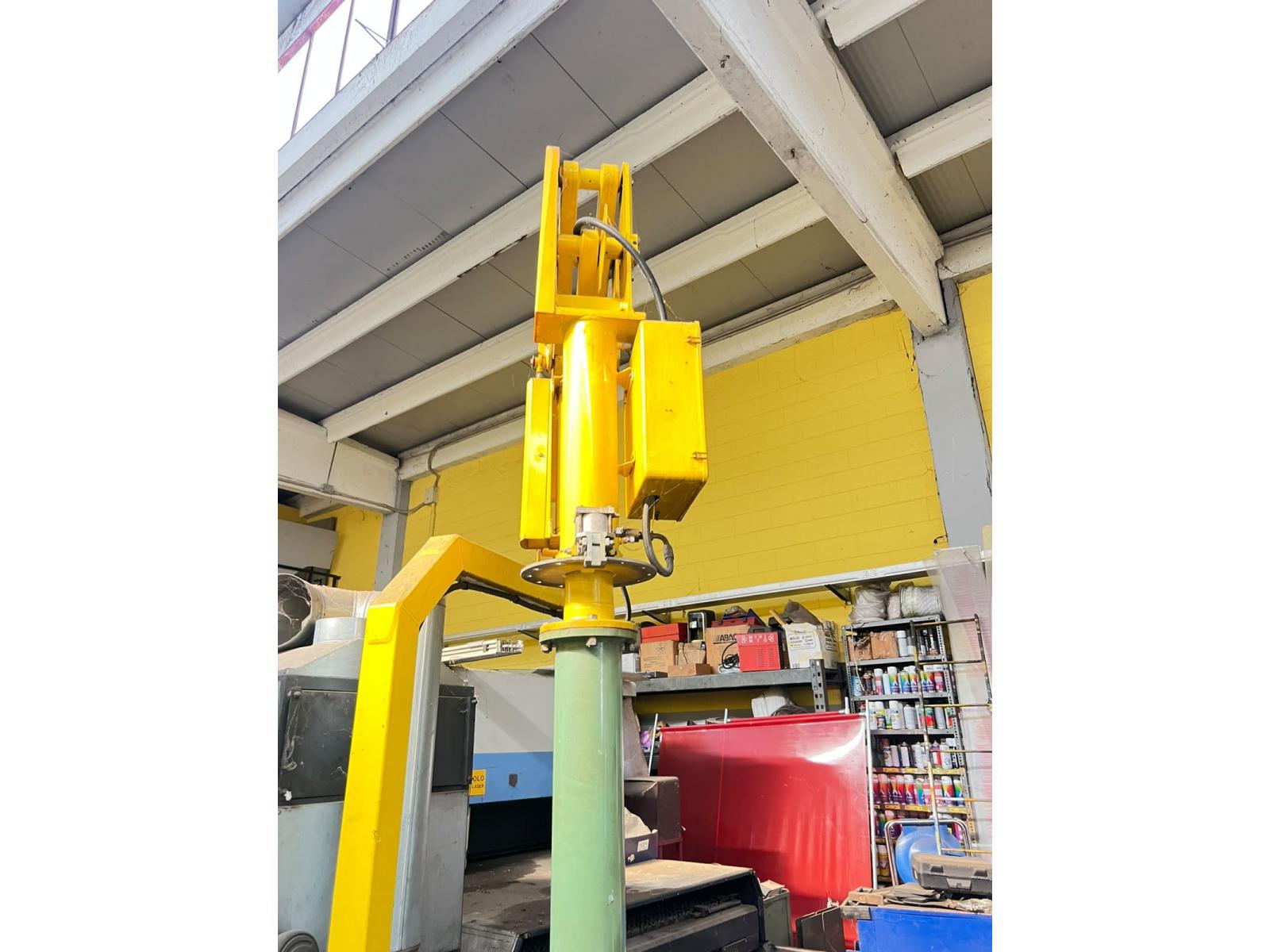 MANIPOLATORE DALMEC MAX 100 KG