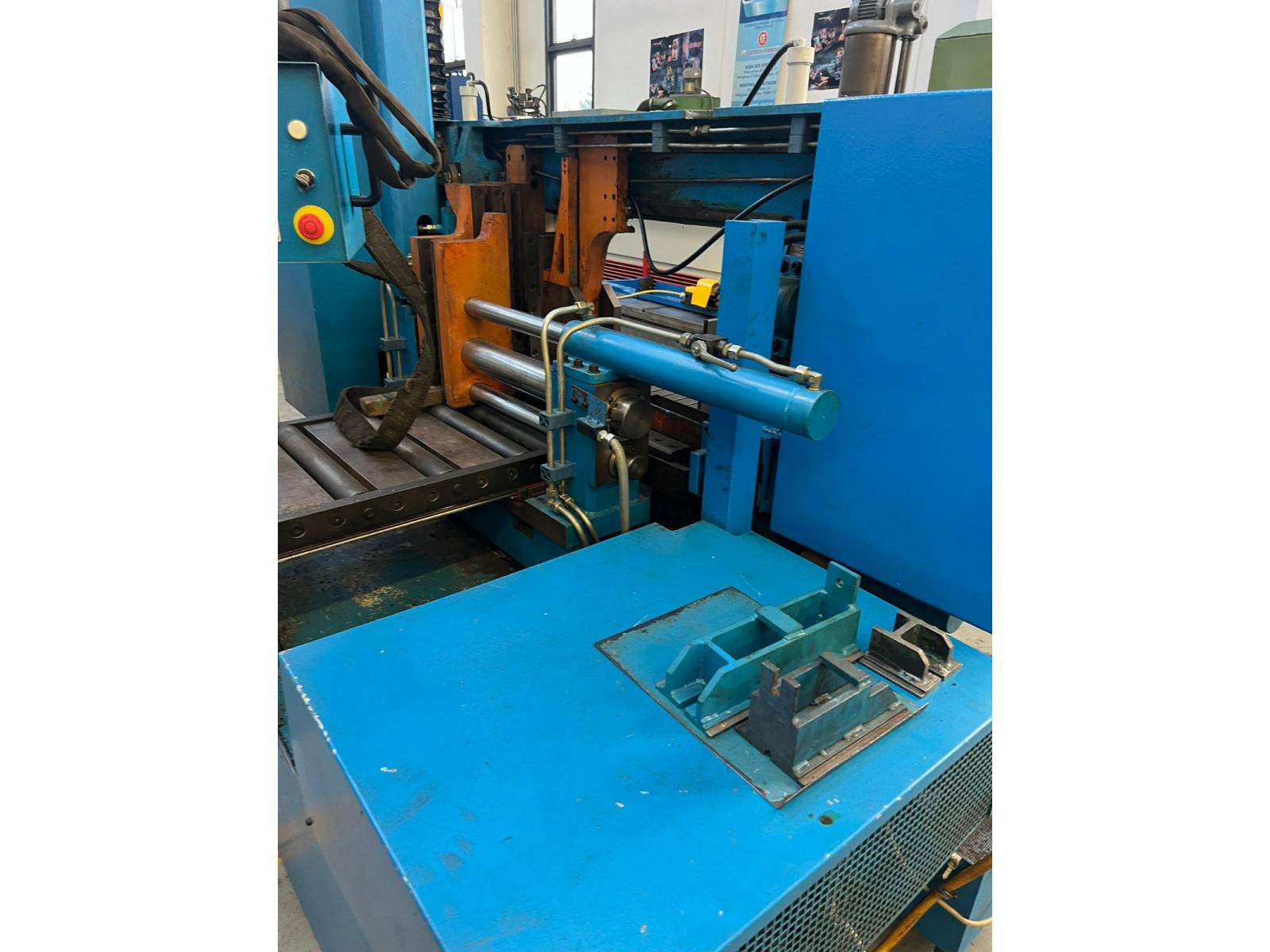 SEGATRICE OPUS WINNER  440